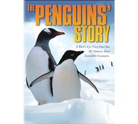 Penguins Story - Penguins Story