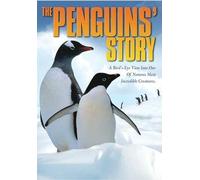 Penguins Story - Penguins Story