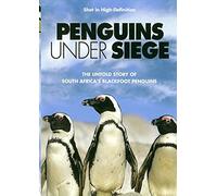 Penguins Under Siege - Penguins Under Siege