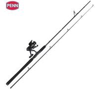 PENN Canna da pesca in acqua salata-Reel Combo WRATH II SPINNING 2,74 m/80-150 g