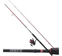 PENN Canna da Pesca in Acqua Salata-Reel Spinning Combo FIERCE IV 20-80g 4000CMB