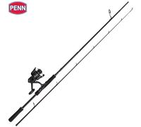 PENN Canna da Spinning per Pesca in Acqua Salata-Reel Combo WRATH II LABRAX 2...
