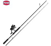 PENN Canna da Spinning per Pesca in Acqua Salata-Reel Combo WRATH II LABRAX...