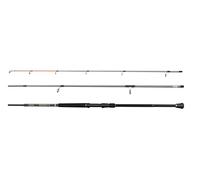 PENN Canna da spinning Regiment IV Bass, canna da pesca d'acqua salata per pesci di mare come spigola merluzzo, sgombro, squalo, peso leggero e versatilità, argento, canna ambidestra veloce da 3,00 m