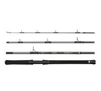 PENN Canna da viaggio per barca Regiment IV, canna da pesca d'acqua salata per pesci di mare, spigola, merluzzo, sgombro, squalo, peso leggero e versatile, argento, 2,10 m, canna veloce ambidestra