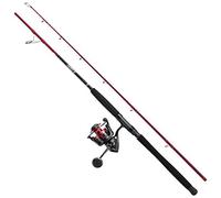 PENN Fierce IV Spin Combo, Set per la pesca in mare con artificiali, Costiera o offshore, All-round ottimo per predatori di acqua salata tra come spigola, Merluzzo, Pollack, Labro