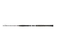 PENN Legion Cat Silver Vertical - Canna da pesca