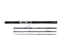 Penn Overseas II Canne Da Pesca 6'9" 20-30Lb