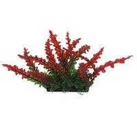 Penn-Plax Aqua-Scaping - Pianta Grande Rossa, 5 Pezzi PDQ