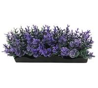Penn-Plax Aqua-Scaping - Pianta Piccola Viola PDQ, 5 Pezzi