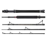 Penn Regiment III - Canna da pesca in mare con acqua salata e marina, più pezzi, portatile, tubo di protezione in Cordura, Nero, 2.13m /20-30lb