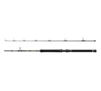 Penn Canna da pesca Regiment IV – 2,10 m, acqua salata, veloce, ambidestra, argento