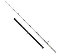 PENN Regiment IV Jig Casting Rod, Saltwater Angler Fishing Rod for Sea Fish, Cod, Sea Eel, Bass, Pollock, Mackerel, Shark, Strong Leightweight & Versatile, Silver, Fast Ambidextrous Carbon Rod
