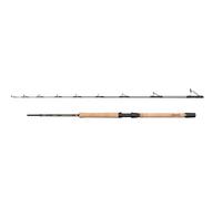 PENN Regiment IV Pro, canna da pesca d'acqua salata per pesci di mare, merluzzo, spigola, merluzzo, sgombro, squalo, peso leggero e versatilità, argento, 2,10 m, canna veloce ambidestra