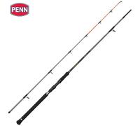 PENN Regiment IV Spin/Pilk Rod 2,40 m/100-250 g
