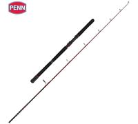 PENN Saltwater Jigging Rod SQUADRON III Jig 300-600 g
