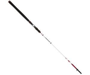 Penn Squadron II Luce Amo 2,72m/80-120g Vergella Canna da Pesca 2-teilig
