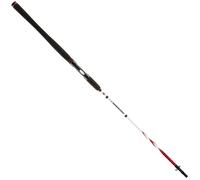 Penn Squadron II SW Spin 2,40 m 15-40 g 5 Parti Canna Spinning Mare