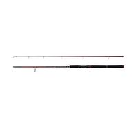 PENN Squadron III SW Canna da spinning | Carbonio ad alto modulo 24T e componenti resistenti all'acqua salata | Pesca in mare di merluzzo, merluzzo giallo, spigola e molva | 3,00 m, 20-60 g