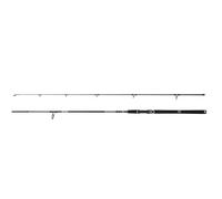 PENN Squadron IV Canna da spinning | Canna da spinning per la pesca costiera in mare con esche artificiali e predatori | Fusto in carbonio 24T | 2,70 m | 20-50 g