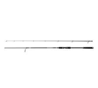 PENN Squadron IV Labrax Spin Canna da pesca | Canna da ning per la pesca costiera in mare salato di spigole e predatori | Fusto in carbonio 24T | 2,40 m | 14-42 g
