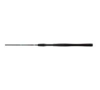 Penn Wrath Spin 8ft/2,44m/80-120g Canna Girevole Salzwasserspinnrute