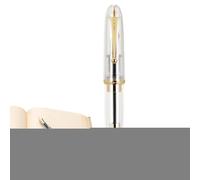 Penna aziendale - Convertitore di inchiostro ad alta capacità 9019 Penne stilografiche con punta in metallo - Penna regalo a lunga durata con clip dorata, penne portatili per studenti infermieri e ins