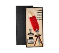 Penna delicata con stelo per scrittura calligrafia regalo di compleanno Set piuma d'oca vintage piuma Dip Set calligrafia tradizionale
