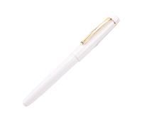 Penna di scrittura liscia Penna di affari 0.5mm Fontana Calligrafia Inchiostri colorati Affari Per Studente Insegnante Calligrafia Fontana Chiara Scrittura liscia Colorata Per Adolescenti