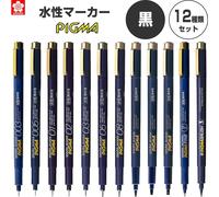 Penna fine Sakura Pigma Micron / nera / set di 12 dimensioni / dal Giappone