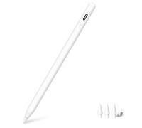 MYSTILUCK Penna per iPad 9a & 10a Generazione, Ricarica Rapida in 13 Minuti, Stilo per Apple iPad (2018-2024) 10/9/8/7/6 Generazione, iPad Pro 12,9/11/13 M4, iPad Air 3/4/5/M2, iPad Mini 5/6.