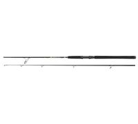 PENNA Penn Wrath Ii Canna da Spinning, per la Pesca con Esche Metalliche, Dure o Morbide, Spigola, Pesce, Merluzzo e Altro, Assortito, 2.44 m, 15-40 g