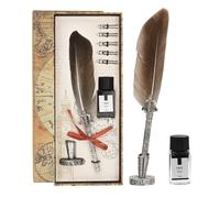 Penna piuma da 26 cm/11" con inchiostro 5 pennini di ricambio base regalo grigio
