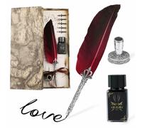 PENNA PIUMA STILOGRAFICA CALLIGRAFICA CON SUPPORTO +5 PENNINI +INCHIOSTRO REGALO