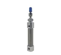 Penna Pneumatica Ad Aria Compressa In Acciaio Inossidabile Serie PB, Dimensioni Mini Cilindro, Doppia Asta Singola PB10X5X15X20X25X30X40X50X60(PB10x50SU)