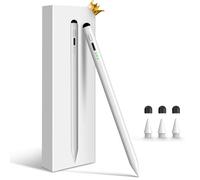 Penna stilo per iPad, ricarica rapida 13 minuti Apple iPad Pencil, penna attiva a doppia punta, rifiuto del palmo, sensibilità all'inclinazione, compatibile con iPad Pro 11/12,9", iPad 6/7/8/9/10,
