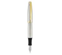 Penna Stilografica Aldo Domani Monteverde - Punta Media - Fusto Argento - J05967