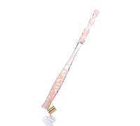 Penna stilografica Dip Pen Holder Dip Pen Holder pennino obliquo regolabile per bambino adulto disegno artistico calligrafia fontana per penne da disegno set di scrittura