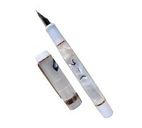 Penna stilografica in acrilico, strumento per studenti e impiegati, manuale di calligrafia, in acrilico