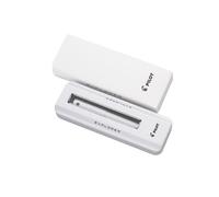 Penna stilografica ricaricabile Pilot Ex 006495