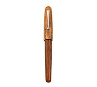 Penne stilografiche per scrittura e calligrafia, accessori per diari con pennino fine con convertitore di cartuccia ricaricabile, penne stilografiche per scrittura calligrafia, pennino fine