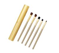 Pennelli for trucco, Pennello for fard, Set di pennelli for trucco, Pennelli for trucco, Mini pennelli for trucco portatili da 5 pezzi Set completo di strumenti for trucco ombretto for principianti(Go
