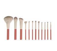 Pennelli Make Up Pennelli For Il Trucco 12 Pezzi Set For Il Trucco In Setola Pennelli For Fard, Correttore, Ombretto Pennelli For Il Trucco Set Pennelli Make Up(Without bag)