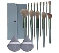 Pennelli Make Up Set Set di pennelli for trucco professionale da 16 pezzi, tamponi in spugna for polvere, custodia for, set viaggio portatile, strumenti bellezza