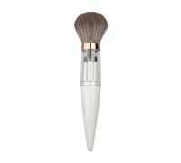 Pennelli Per Trucco Da Viaggio - Set Mini Pennelli Per Trucco Da 5 Pezzi | Kit Di Per Truccco Piccoli Pennellii Da 70 G | Cosmetici Riutilizzabili Portatili Per Ragazze Principianti Vanity