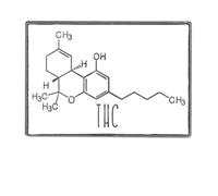 Pennelli scientifici dello smalto: Strutture molecolari e distintivi delle tartarughe, Klein, Metallo non prezioso