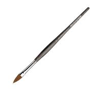 Pennello Colineo Serie 822 N. 12 Ovale Manico Corto