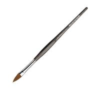 Pennello Colineo Serie 822 N. 8 Ovale Manico Corto