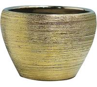 Pennello Oro Ceramica PLT Vasi con Draige Fori, Vasi di Fiori Decorativi per Interni Plts, Home Decor Round Plters con Vassoi, Regali per La Mamma, 8.3"x5.9"