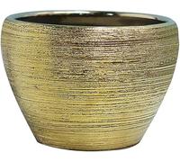 Pennello Oro Ceramica PLT Vasi con Draige Fori, Vasi di Fiori Decorativi per Interni Plts, Home Decor Round Plters con Vassoi, Regali per La Mamma, 6.3"x4.3"